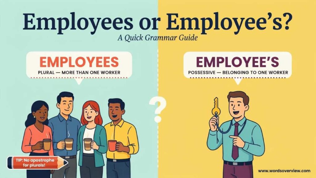 Employees or Employee’s Which Is Correct?