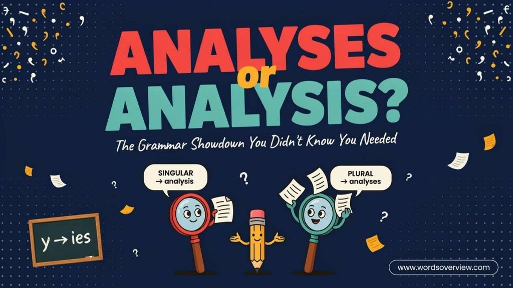 Analysis and Analyses With Determiners
